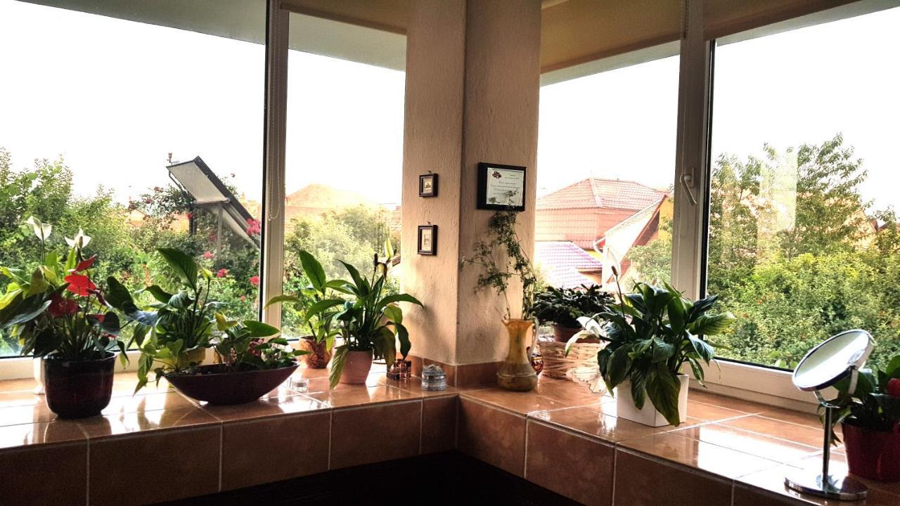 Casa Zora Apartment Алба Юлия Екстериор снимка