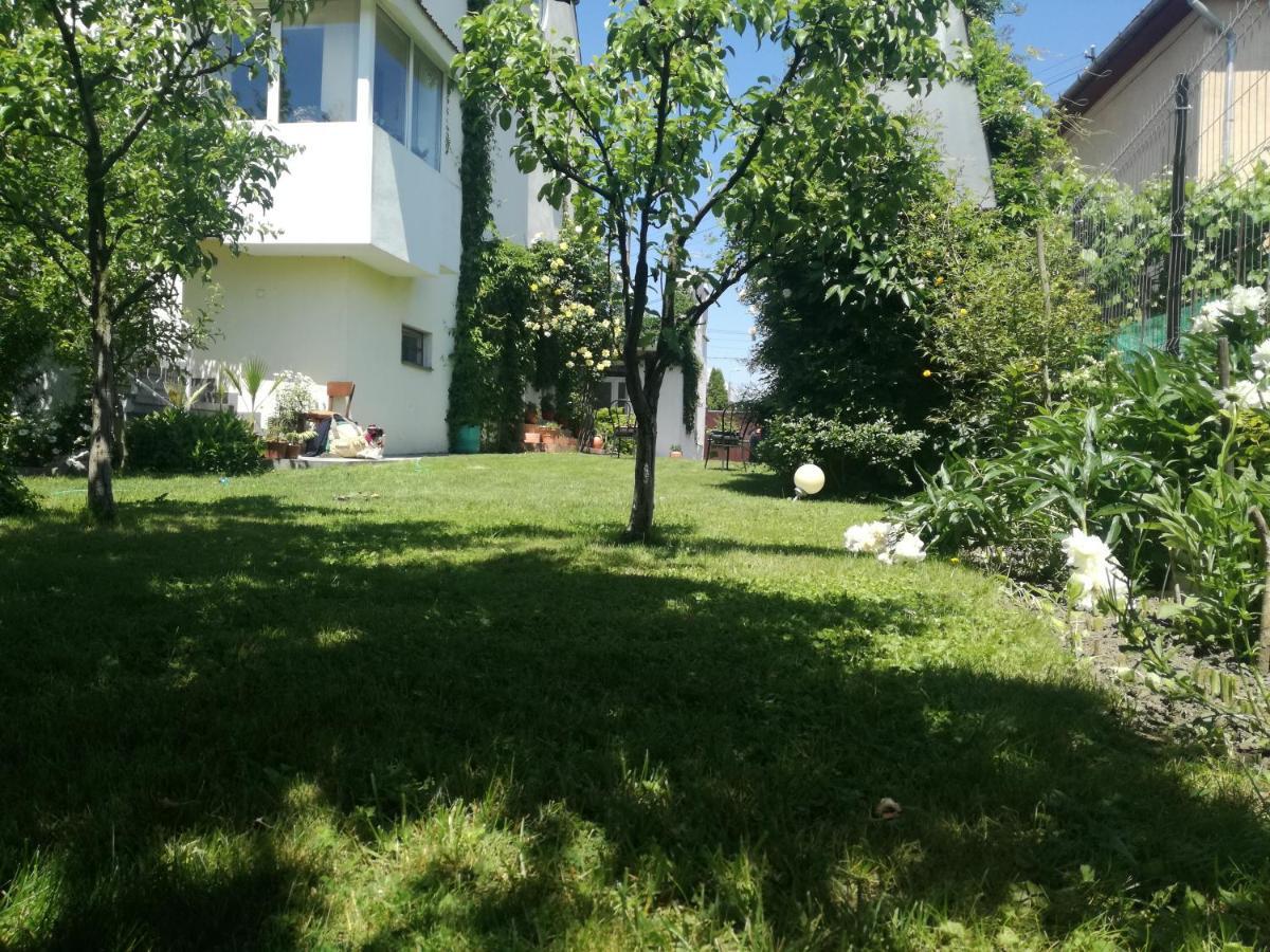 Casa Zora Apartment Алба Юлия Екстериор снимка