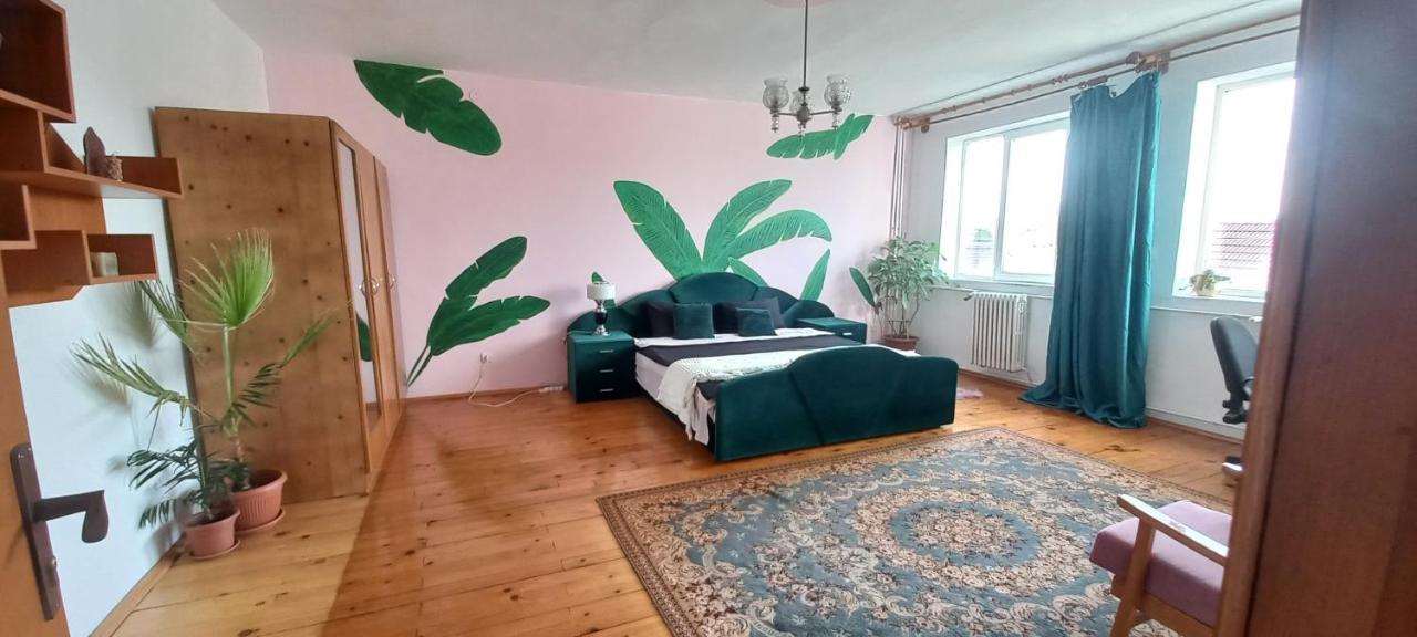 Casa Zora Apartment Алба Юлия Екстериор снимка
