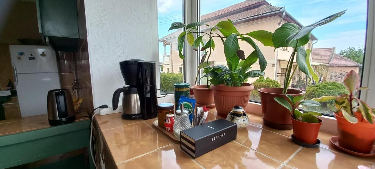 Casa Zora Apartment Алба Юлия Екстериор снимка
